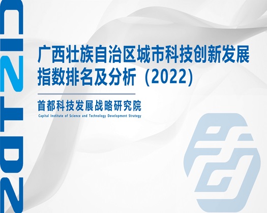 抽插大学生爽死了【成果发布】广西壮族自治区城市科技创新发展指数排名及分析（2022）